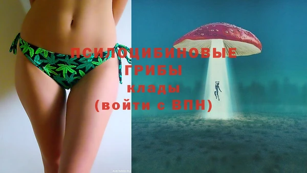 прущий лед Белоозёрский