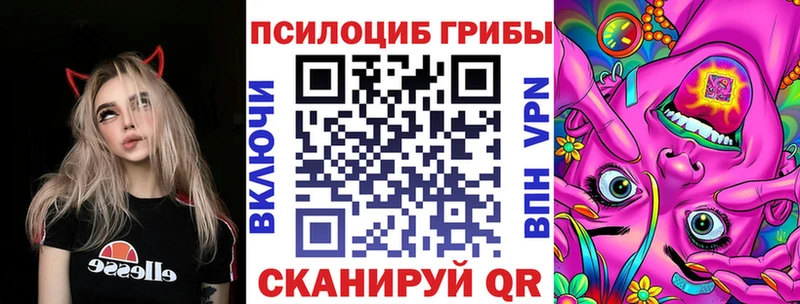что такое Беломорск Псилоцибиновые грибы прущие грибы